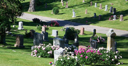 Hale Polin Robinson Funeral Home